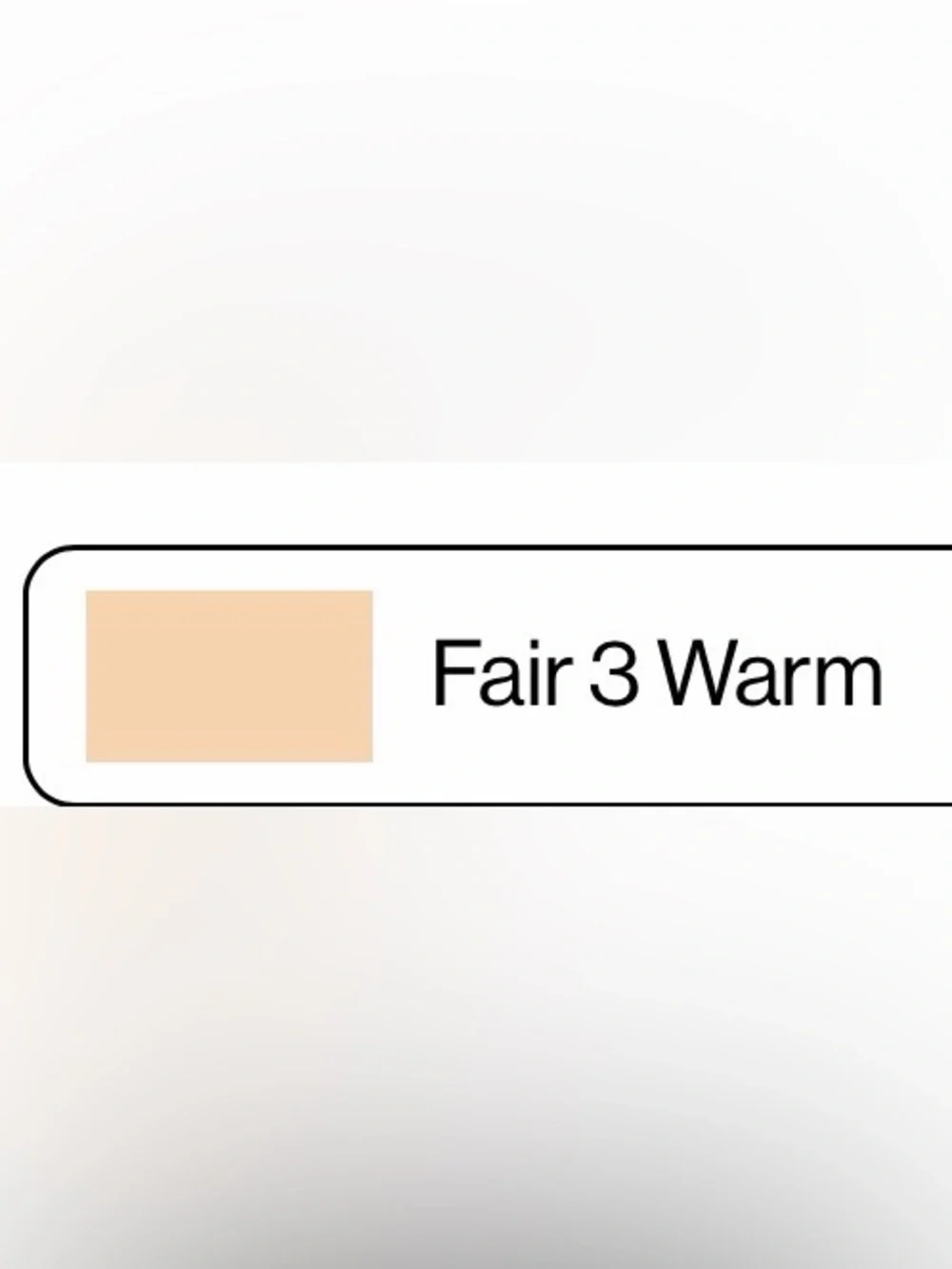 Smashbox Dual Filter Concealer + Foundation — Fair 3 Warm NEW